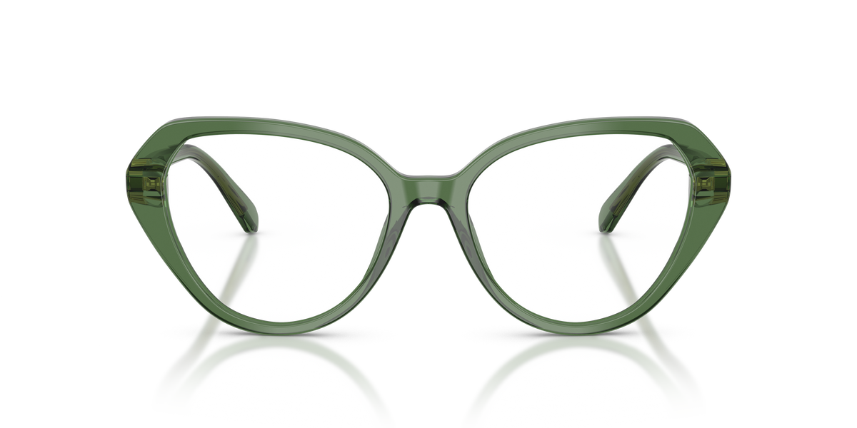 Gafas de Sol Swarovski SK2054 1085 55 17