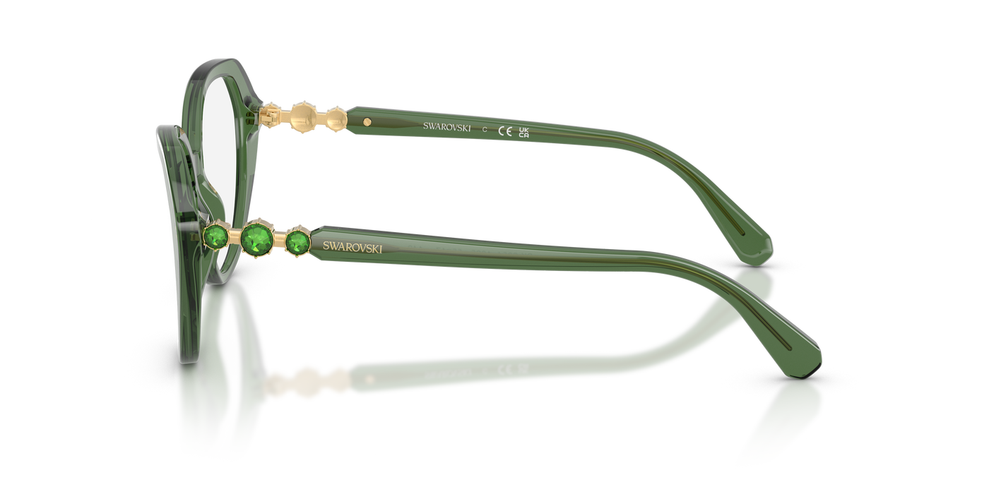 Gafas de Sol Swarovski SK2054 1085 53 17