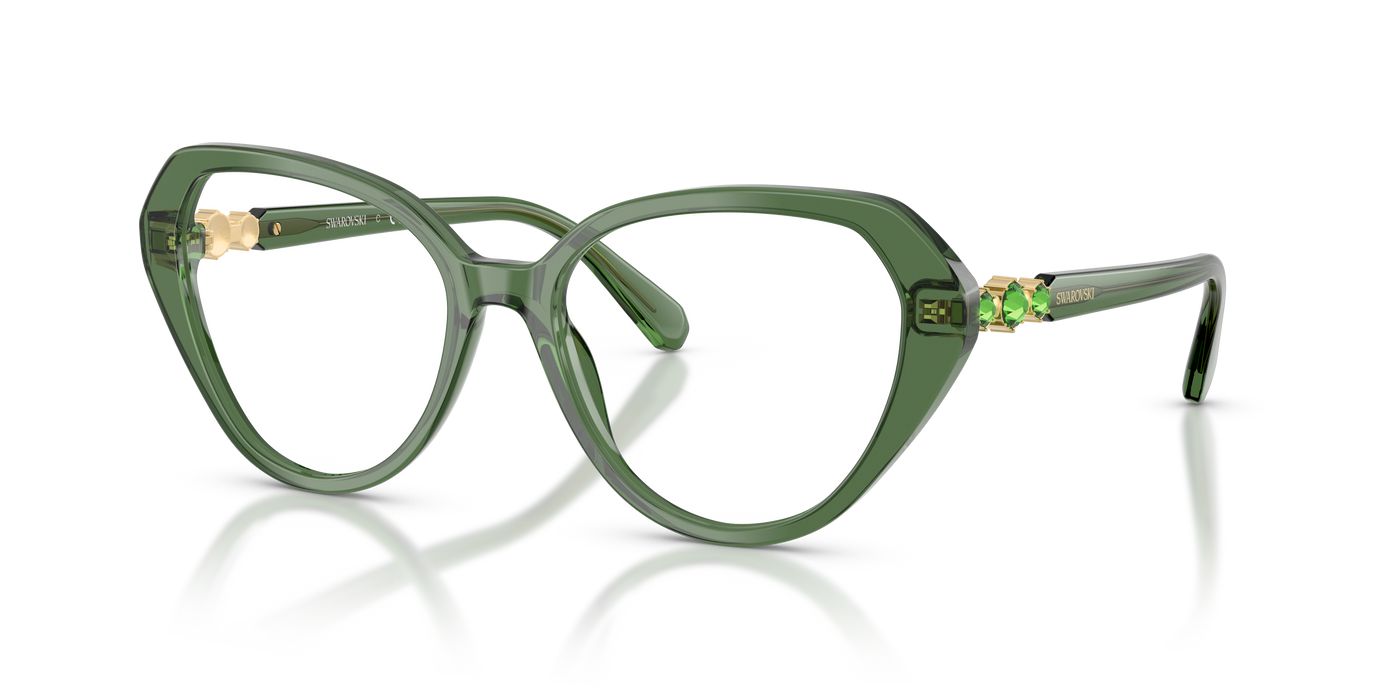 Gafas de Sol Swarovski SK2054 1085 53 17