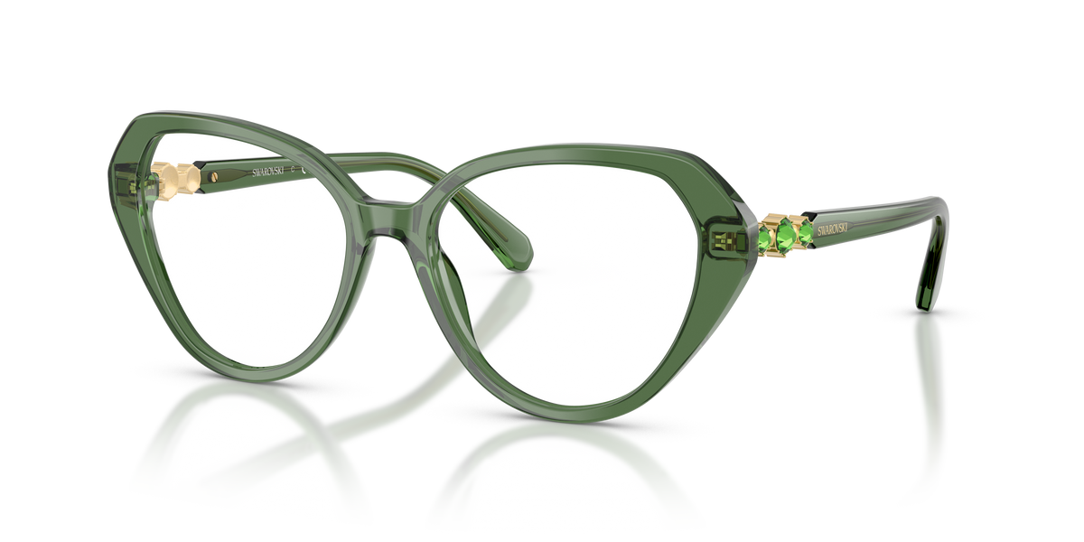 Gafas de Sol Swarovski SK2054 1085 53 17