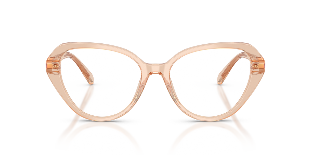 Gafas de Sol Swarovski SK2054 1086 53 17