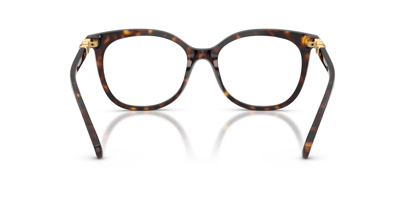 Gafas Graduadas Swarovski SK2055 1002 52 17