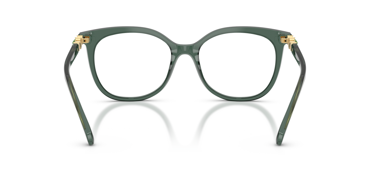 Gafas Graduadas Swarovski SK2055 1043 52 17