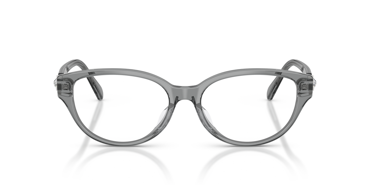 Gafas de Sol Swarovski SK2058D 1062 54 16