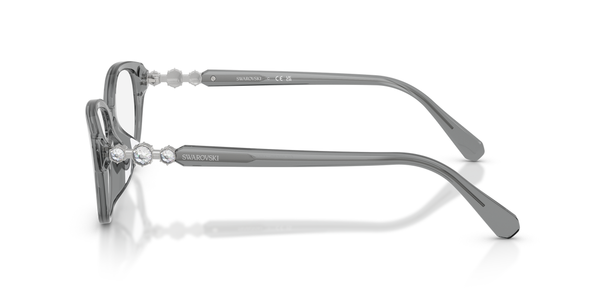 Gafas de Sol Swarovski SK2058D 1062 54 16