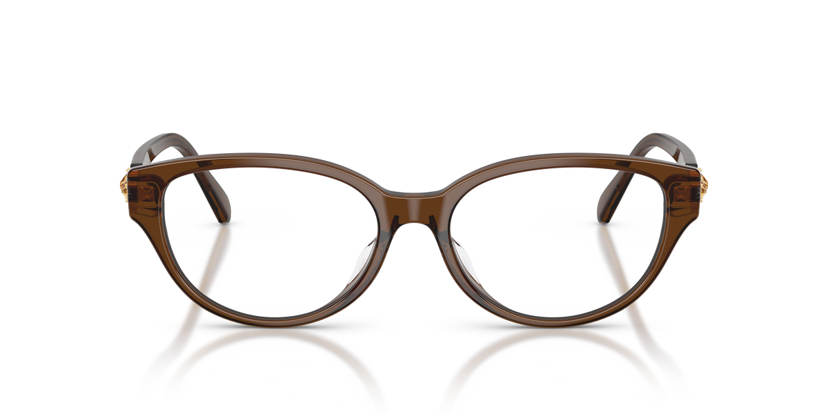 Gafas de Sol Swarovski SK2058D 1084 54 16