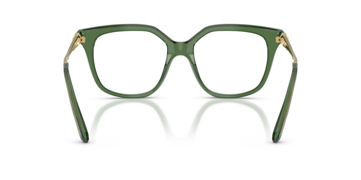 Prescription Glasses Swarovski SK2059 1085 51 / 53 17