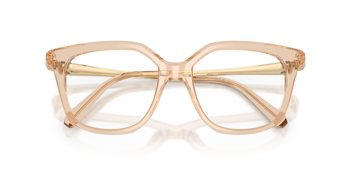 Prescription Glasses Swarovski SK2059 1092 51 / 53 17
