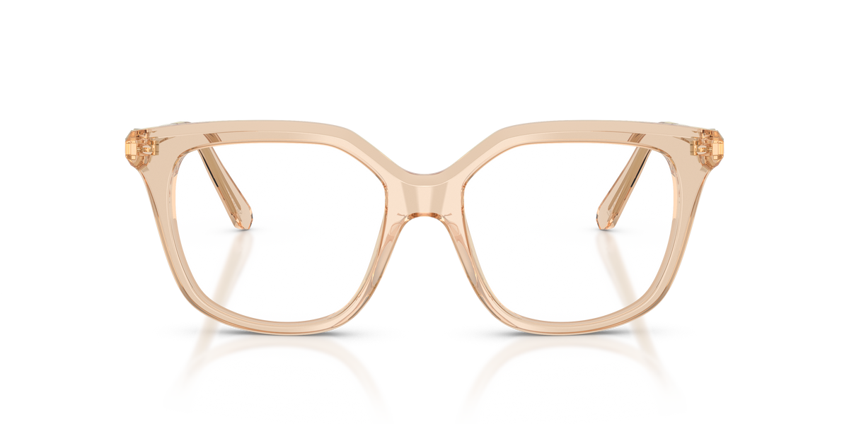 Prescription Glasses Swarovski SK2059 1092 51 / 53 17