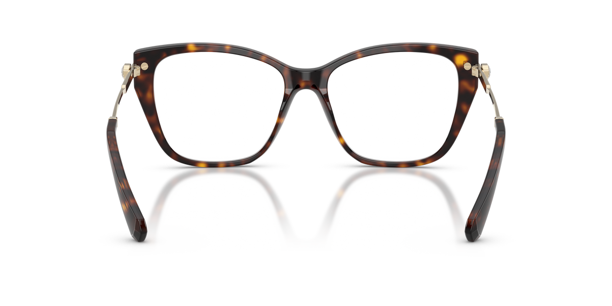 Gafas Graduadas Swarovski SK2060 1002 53 / 55 16