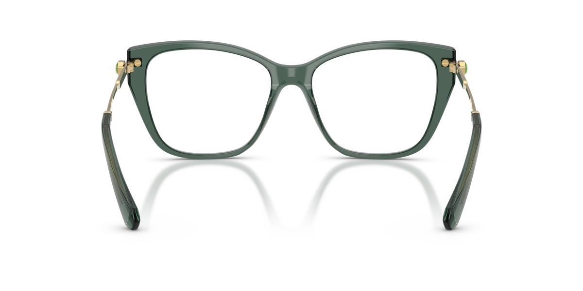 Prescription Glasses Swarovski SK2060 1043 53 / 55 16