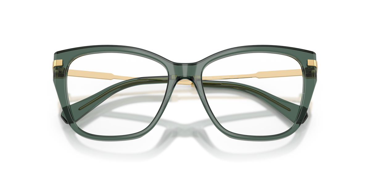 Prescription Glasses Swarovski SK2060 1043 53 / 55 16
