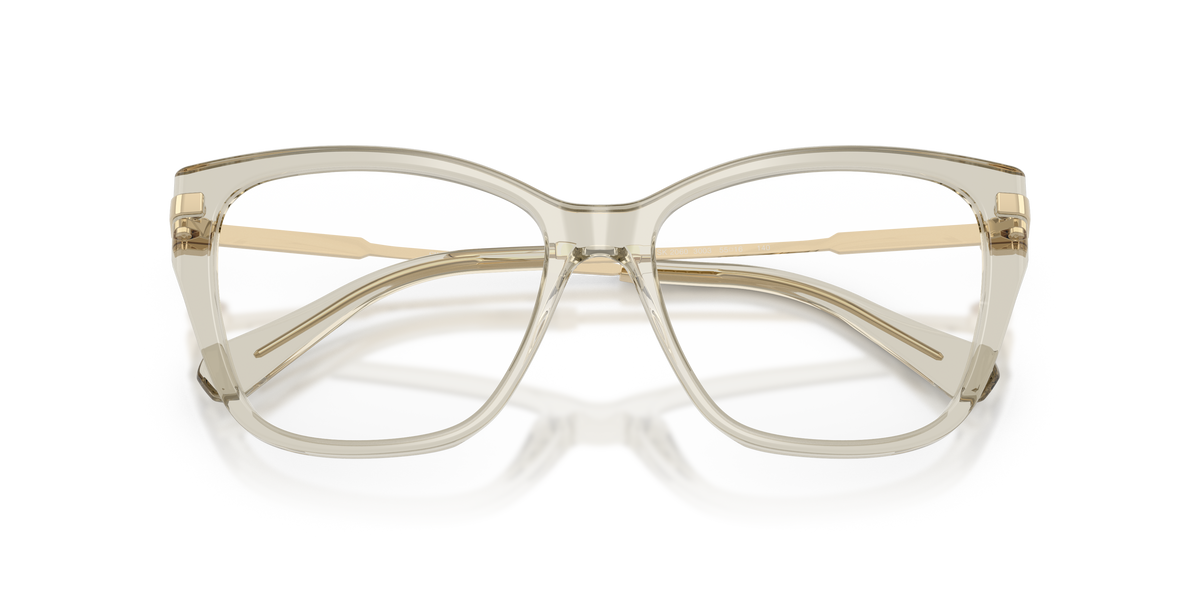 Prescription Glasses Swarovski SK2060 3003 53 / 55 16