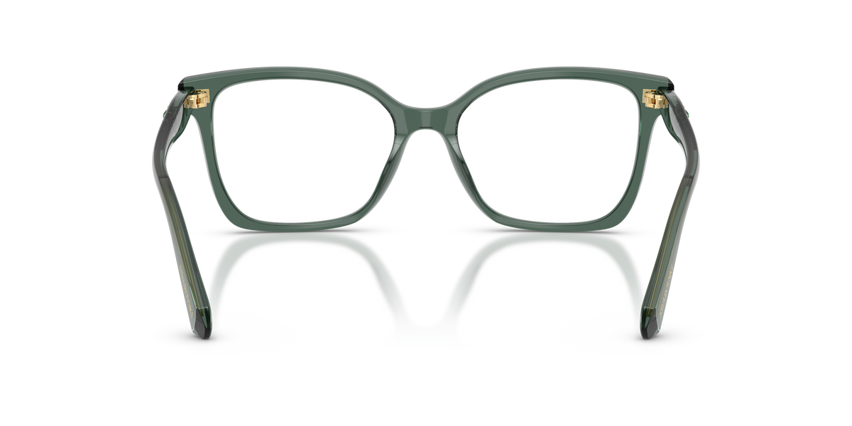 Prescription Glasses Swarovski SK2061 1043 53 / 55 17