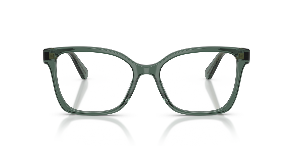 Prescription Glasses Swarovski SK2061 1043 53 / 55 17