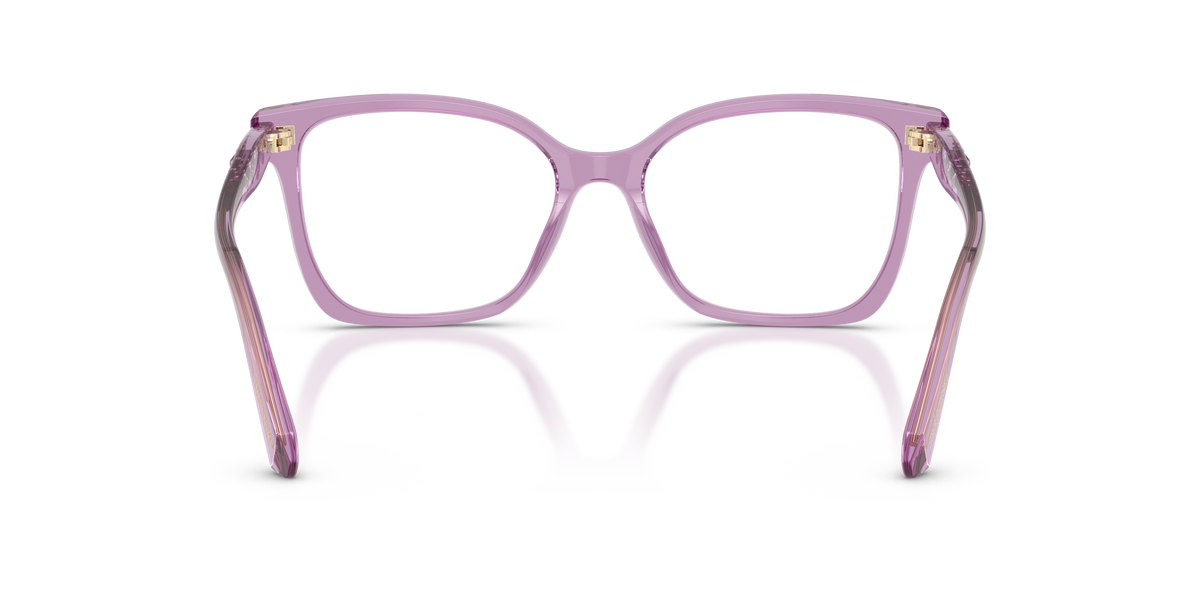 Prescription Glasses Swarovski SK2061 1096 53 / 55 17