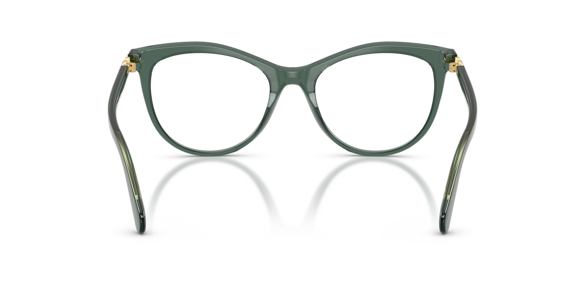 Gafas Graduadas Swarovski SK2064 1043 51 / 53 18