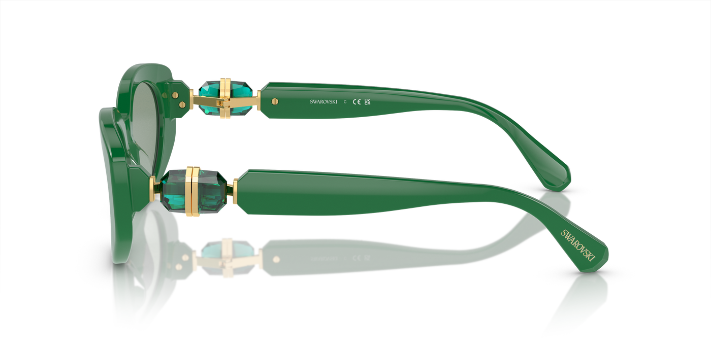 Gafas de Sol Swarovski SK6002 10079C 53 18