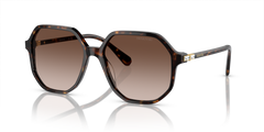 Gafas de Sol Swarovski SK6003 100213 57 16