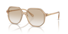 Gafas de Sol Swarovski SK6003 103411 57 16