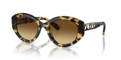 Gafas de Sol Swarovski SK6005 100913 53 20