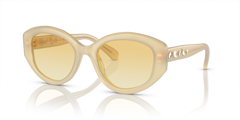 Gafas de Sol Swarovski SK6005 10232Q 53 20