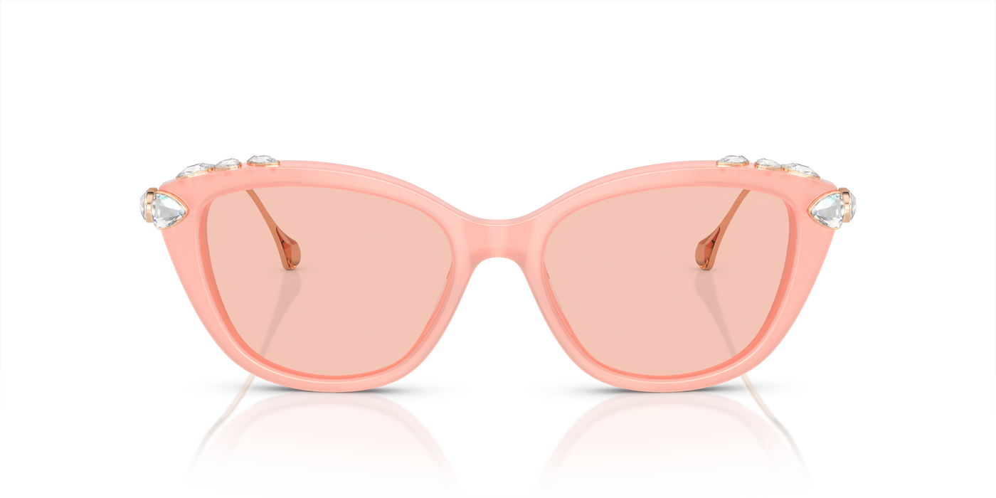 Gafas de Sol Swarovski SK6010 1041/5 53 17