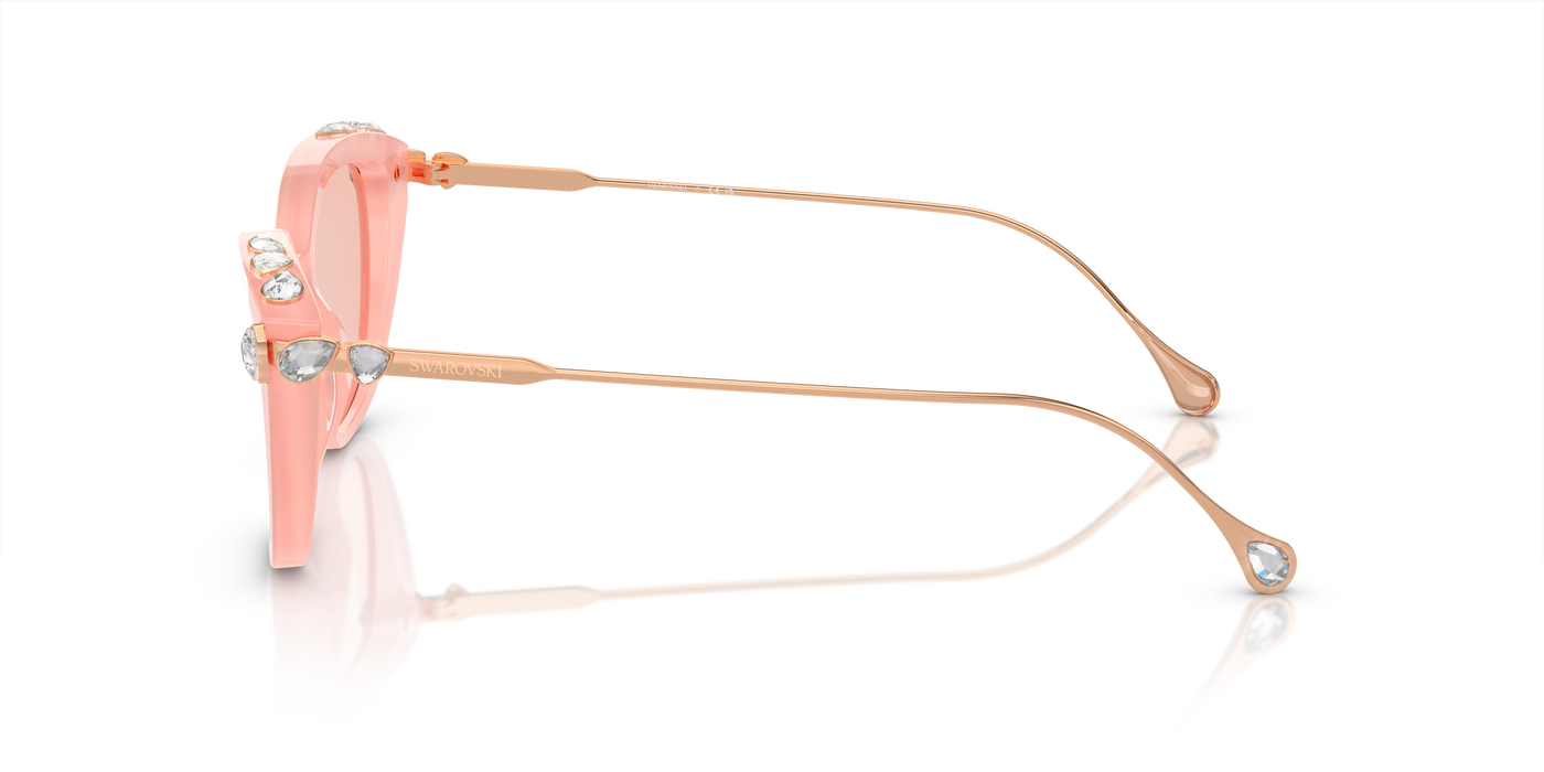 Gafas de Sol Swarovski SK6010 1041/5 53 17