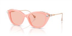 Gafas de Sol Swarovski SK6010 1041/5 53 17