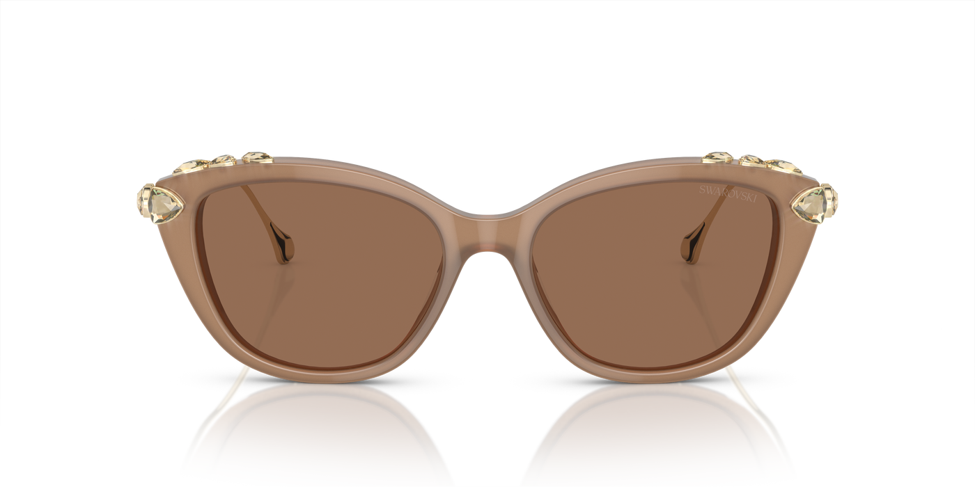Gafas de Sol Swarovski SK6010 2002OK 53 17