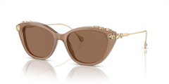 Gafas de Sol Swarovski SK6010 2002OK 53 17