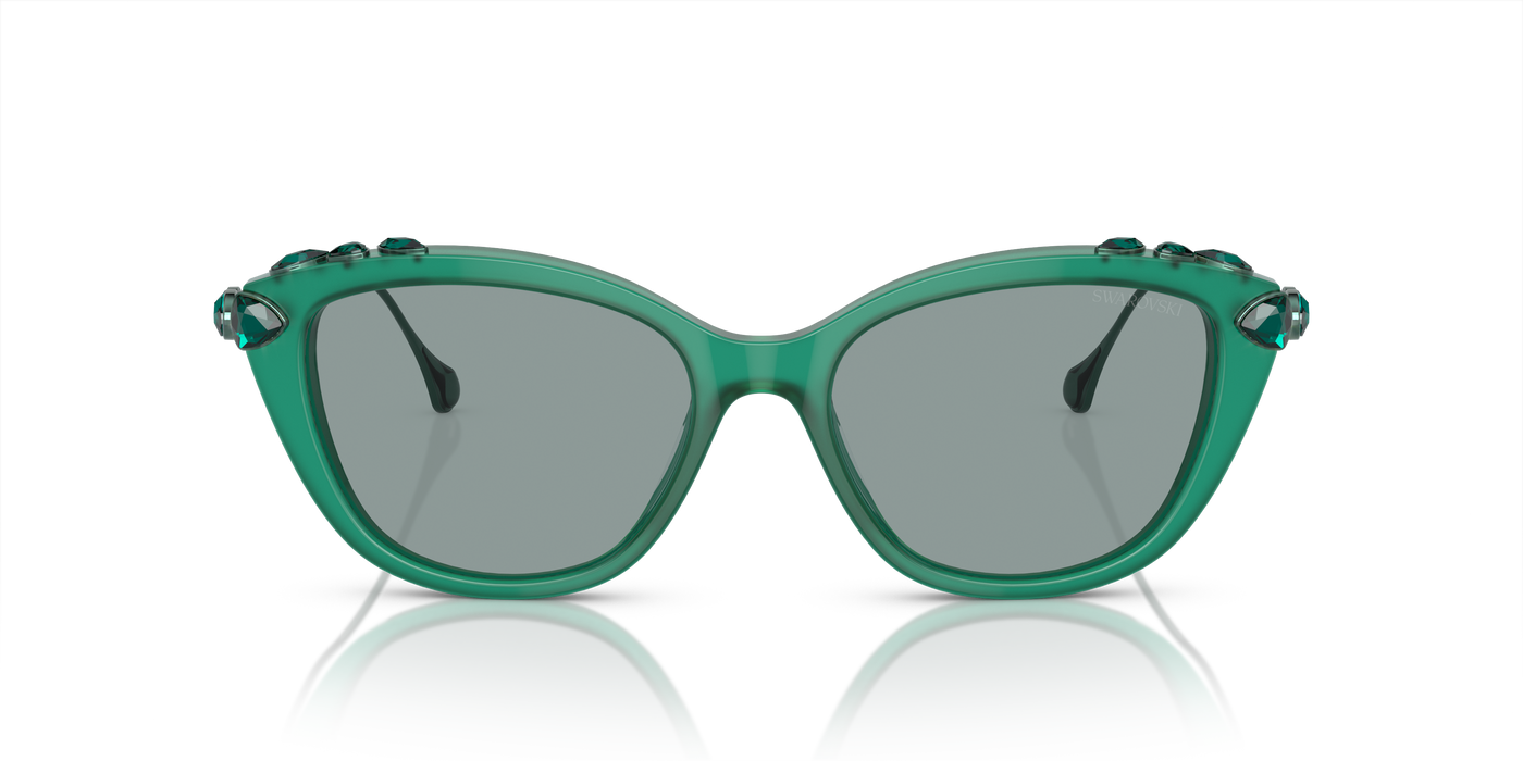 Gafas de Sol Swarovski SK6010 2003/1 53 17