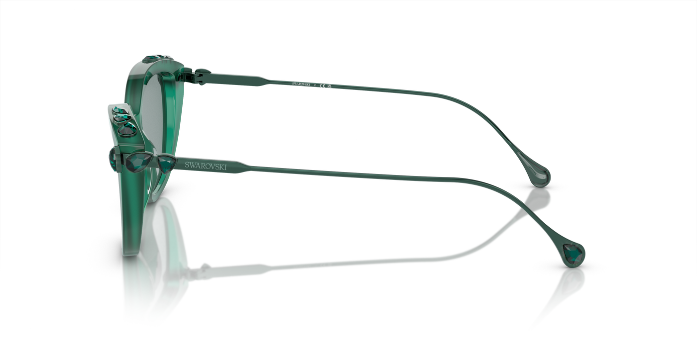 Gafas de Sol Swarovski SK6010 2003/1 53 17