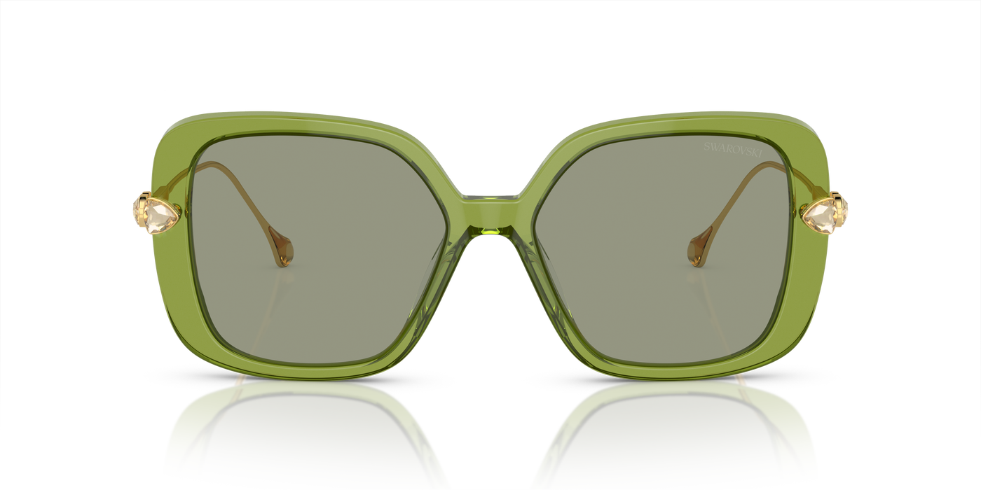 Gafas de Sol Swarovski SK6011 3002/2 55 17