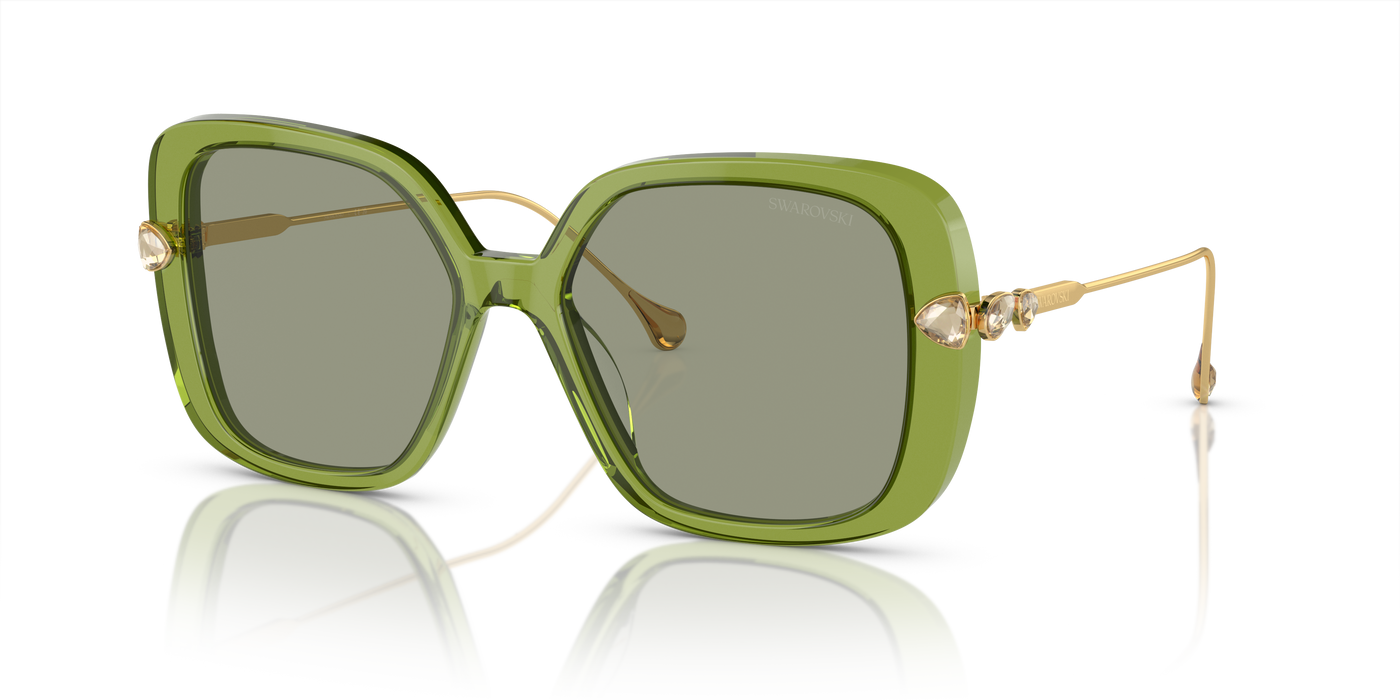 Gafas de Sol Swarovski SK6011 3002/2 55 17