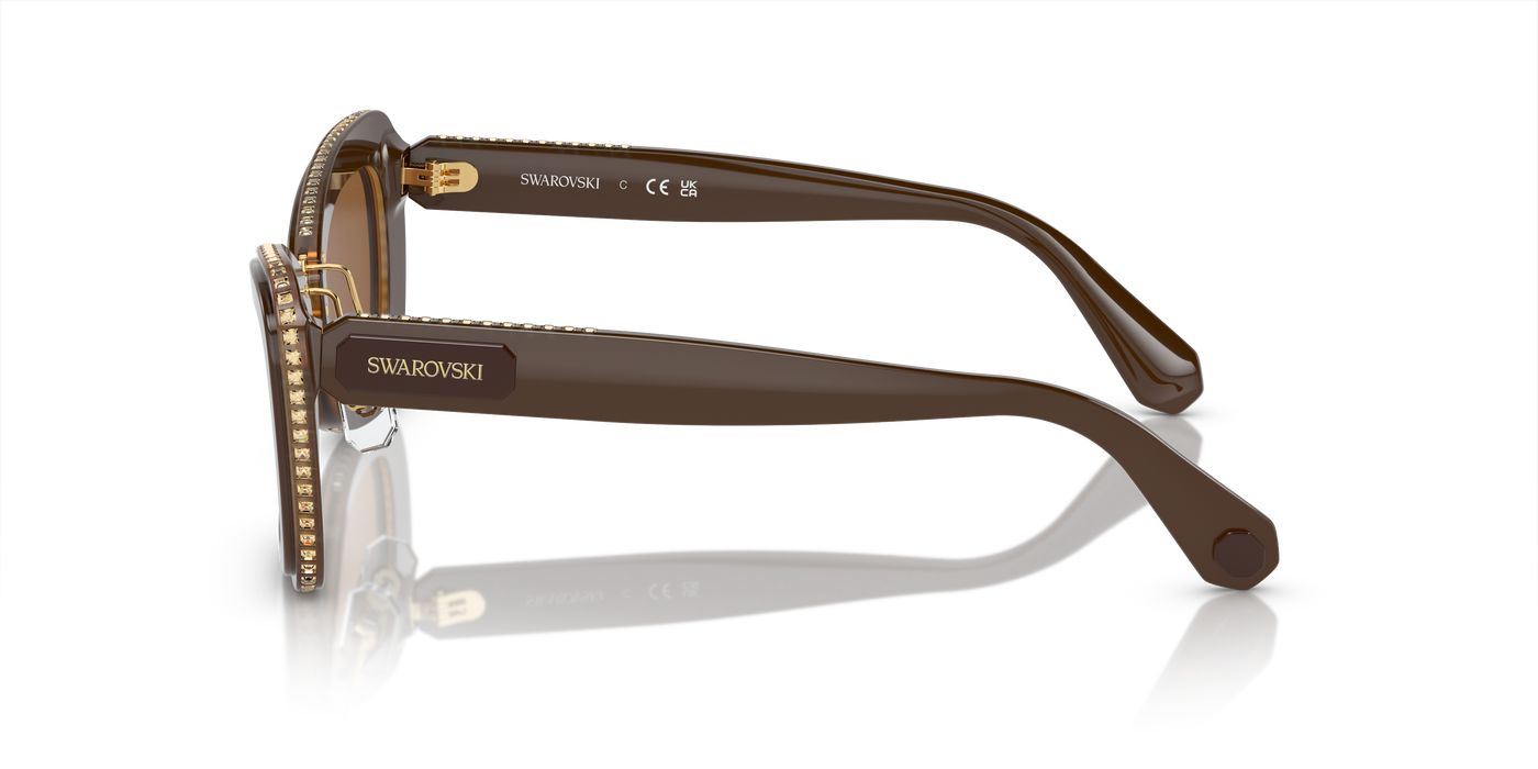 Gafas de Sol Swarovski SK6012 101173 52 24