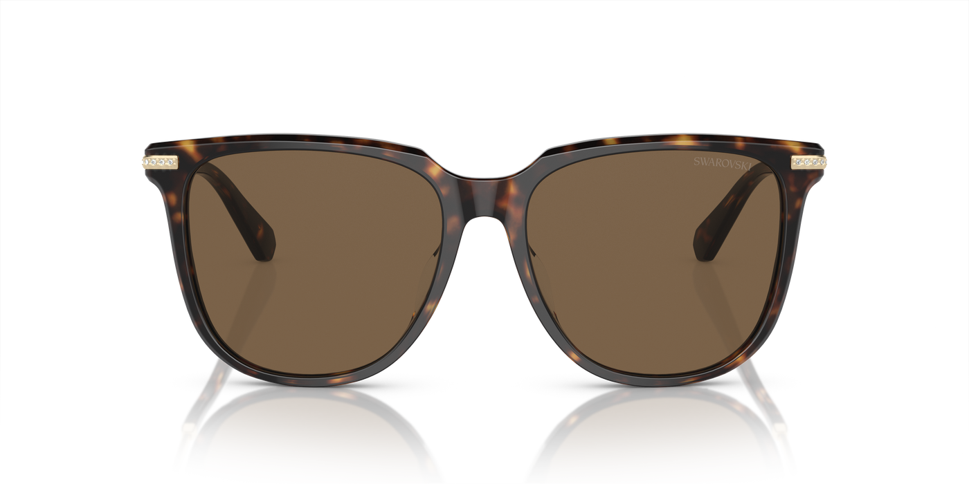 Gafas de Sol Swarovski SK6015D 100273 55 16