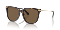 Gafas de Sol Swarovski SK6015D 100273 55 16