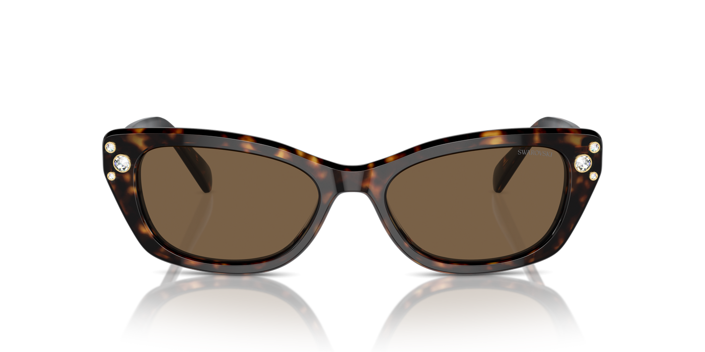 Gafas de Sol Swarovski SK6019 100273 54 18