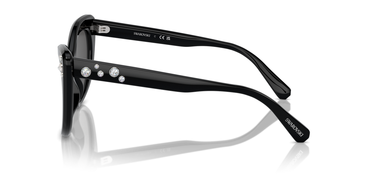 Sunglasses Swarovski SK6020 100187 55 20