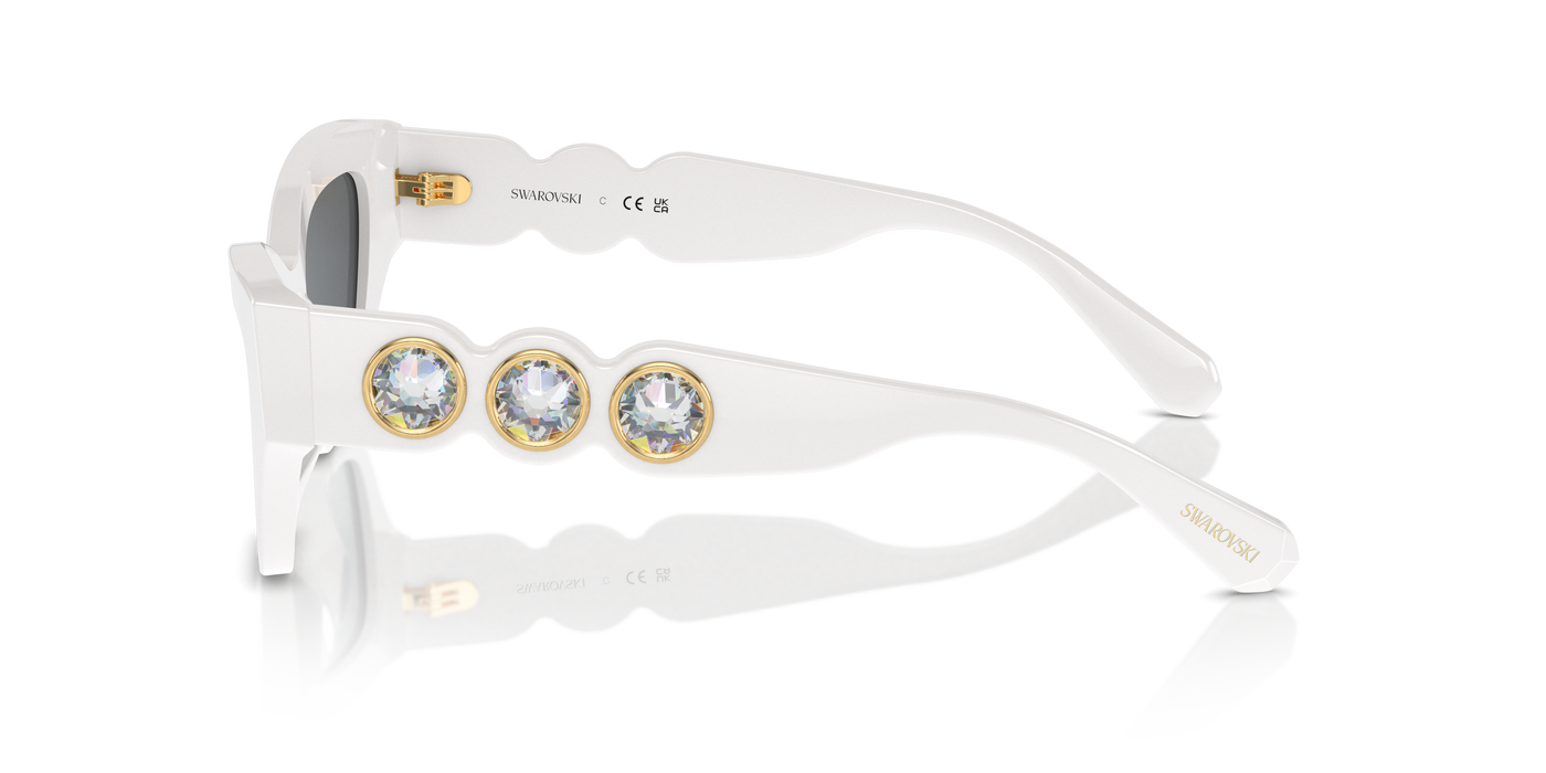 Gafas de Sol Swarovski SK6021 105087 53 19