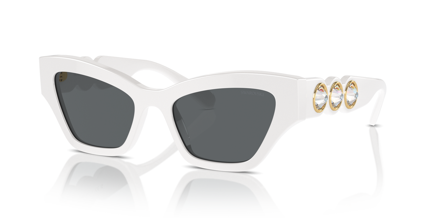 Gafas de Sol Swarovski SK6021 105087 53 19