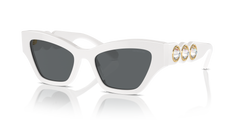 Gafas de Sol Swarovski SK6021 105087 53 19