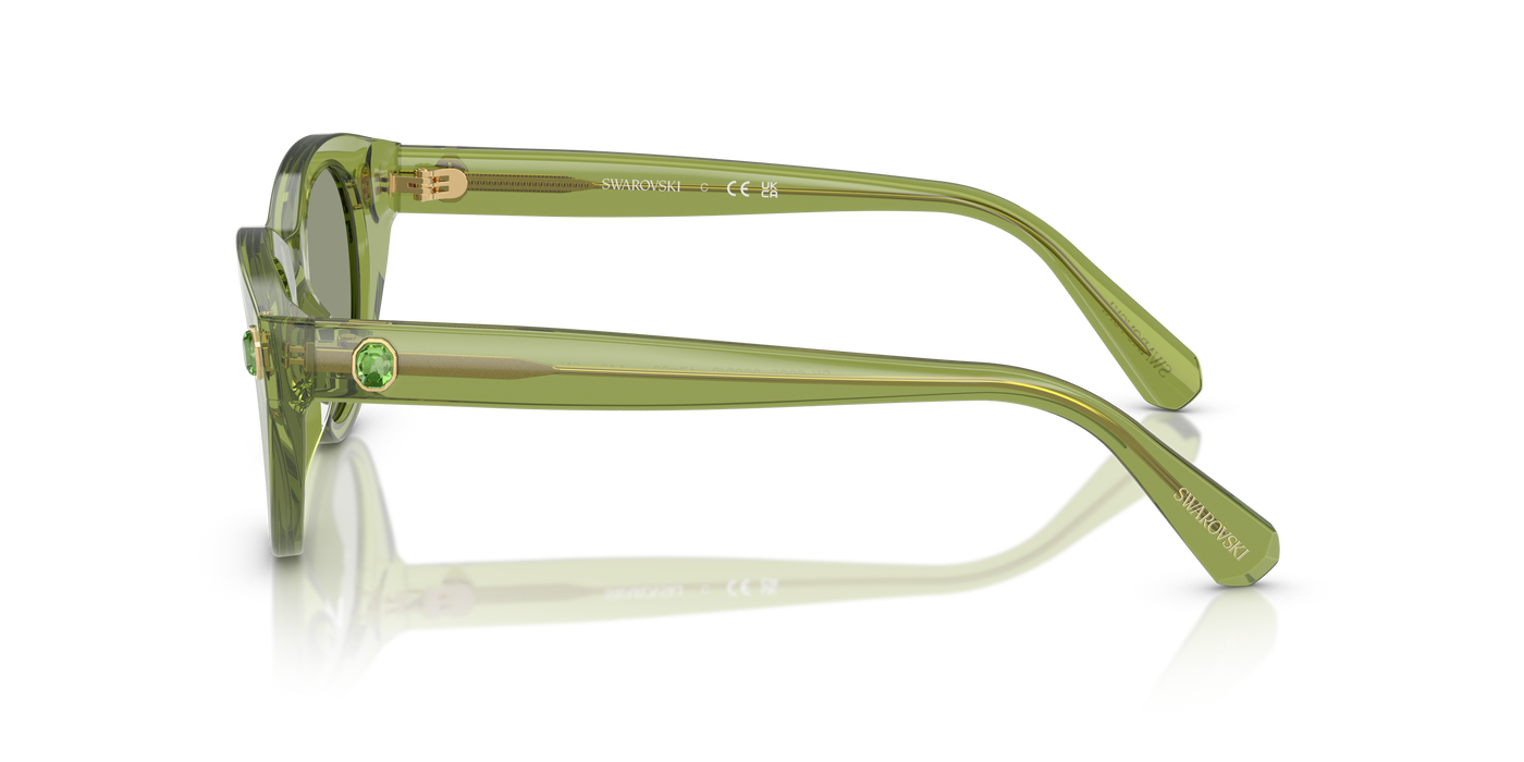 Gafas de Sol Swarovski SK6025 3002/2 47 20