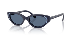 Gafas de Sol Swarovski SK6030 100455 52 19