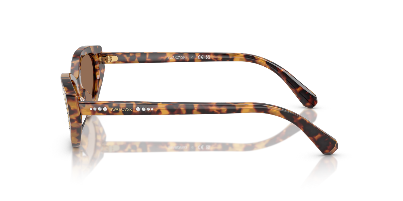 Gafas de Sol Swarovski SK6030 104073 52 19