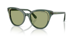 Gafas de Sol Swarovski SK6031 104382 53 19