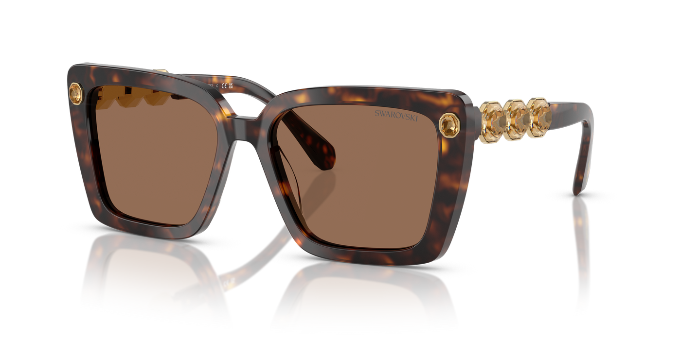 Gafas de Sol Swarovski SK6032 100273 55 17