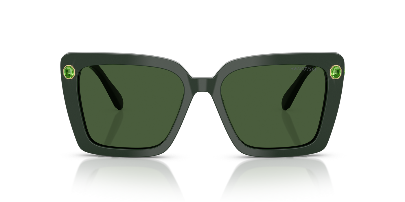 Gafas de Sol Swarovski SK6032 102671 55 17