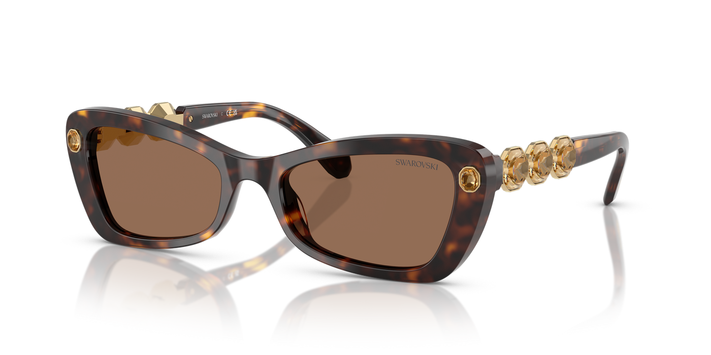 Gafas de Sol Swarovski SK6033 100273 54 19